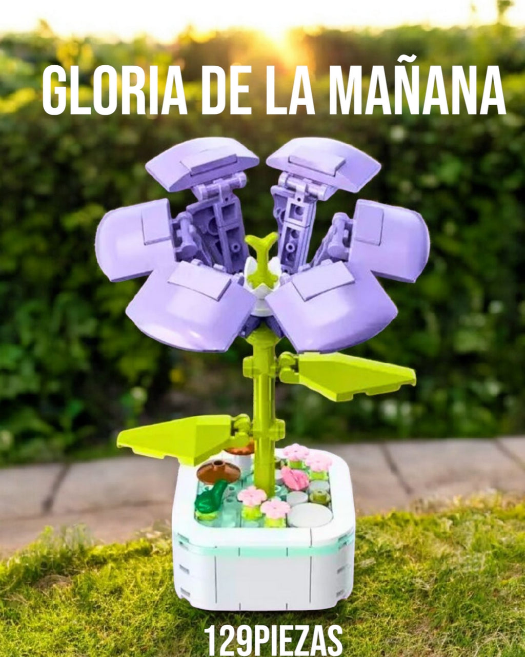 Gloria de la Mañana- Armable en Bloque