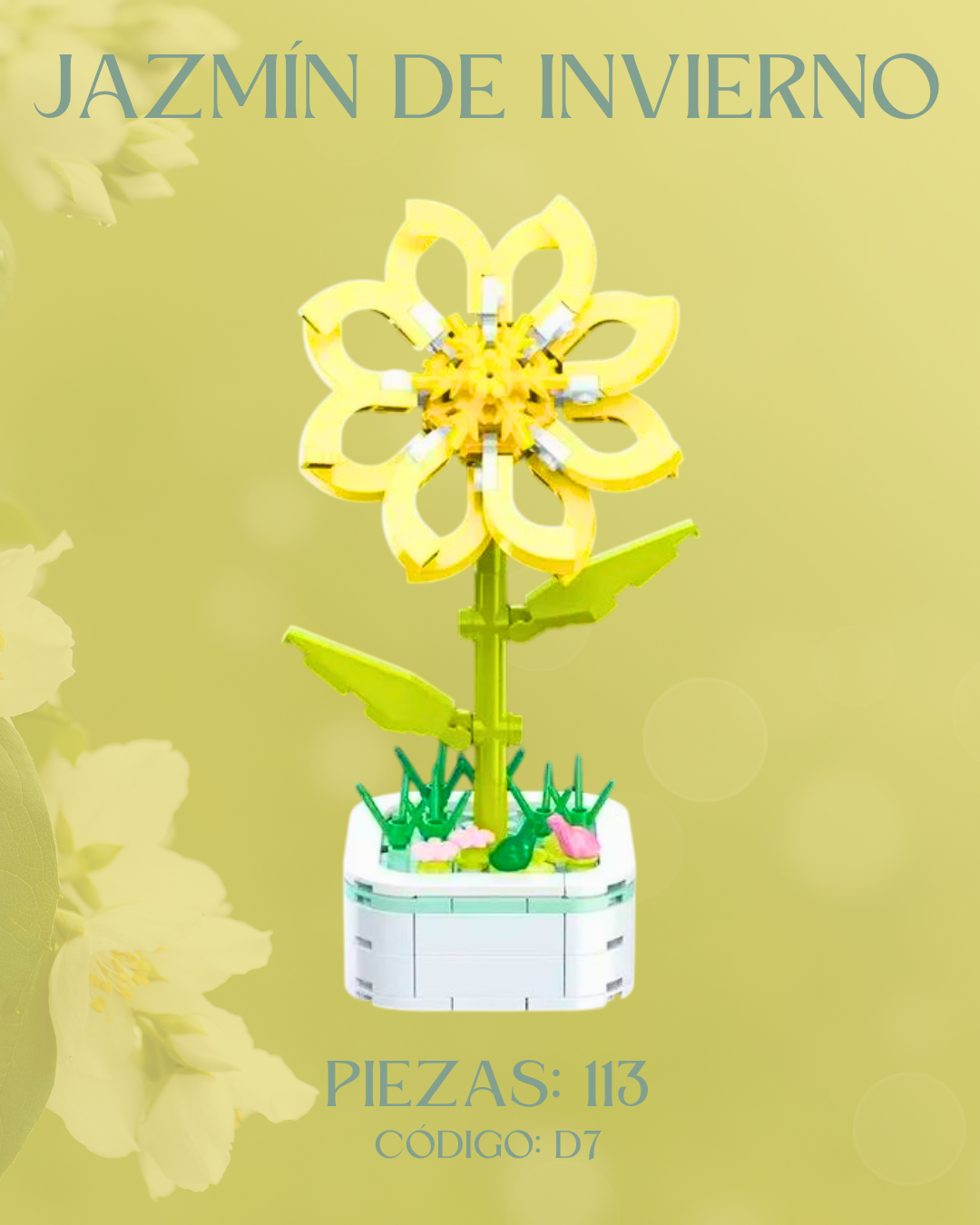 Jazmín de Invierno: Armable en Bloques